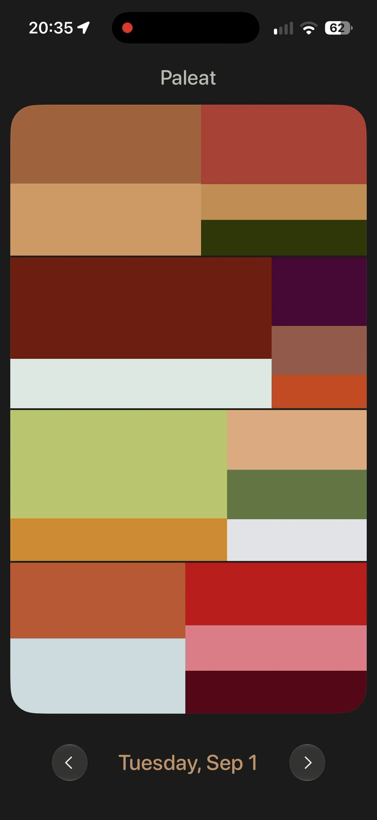 Tuesday's meal colors arranged in a mosaic of red, green, and pale blue