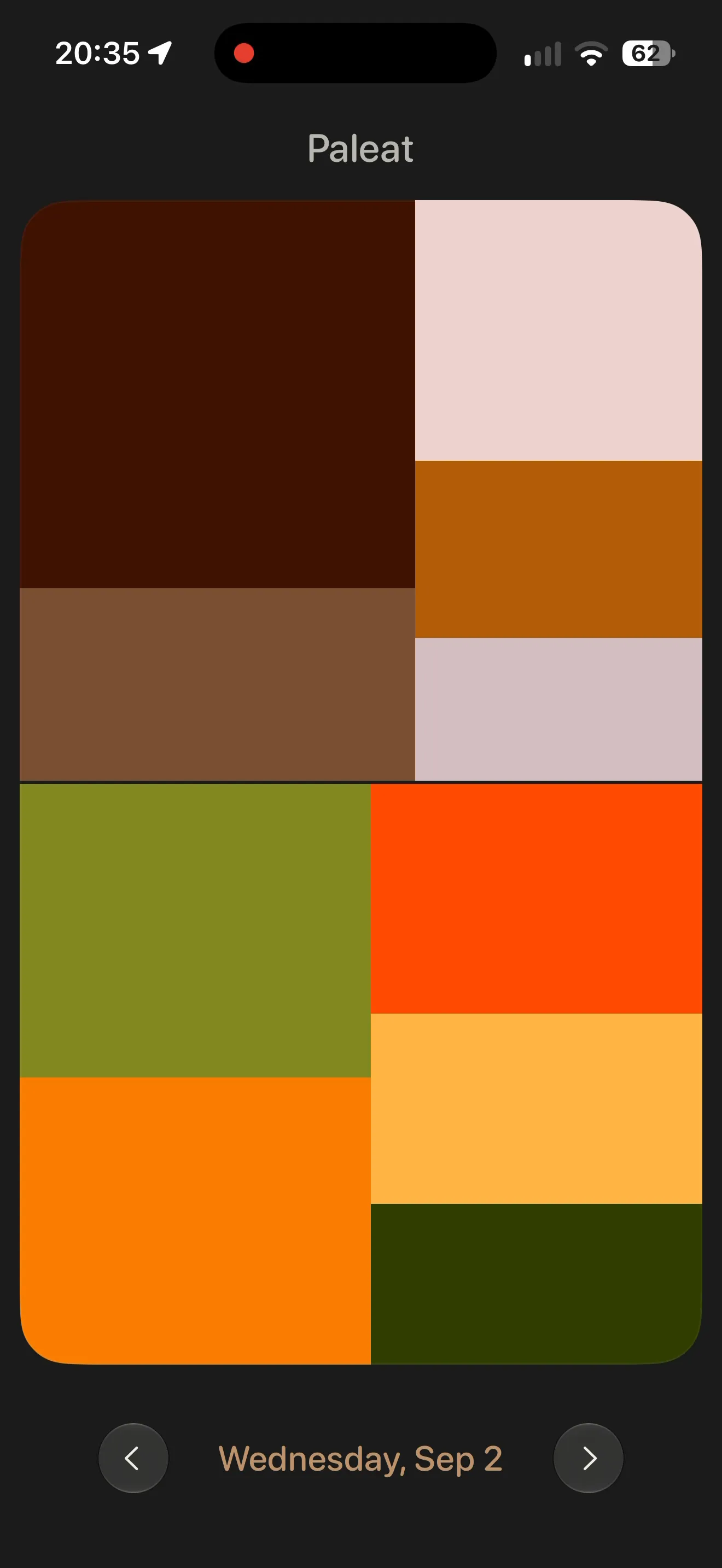 Wednesday's meal colors arranged in a mosaic of orange, brown, and olive green